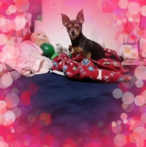 Meet your Posher, Teresa